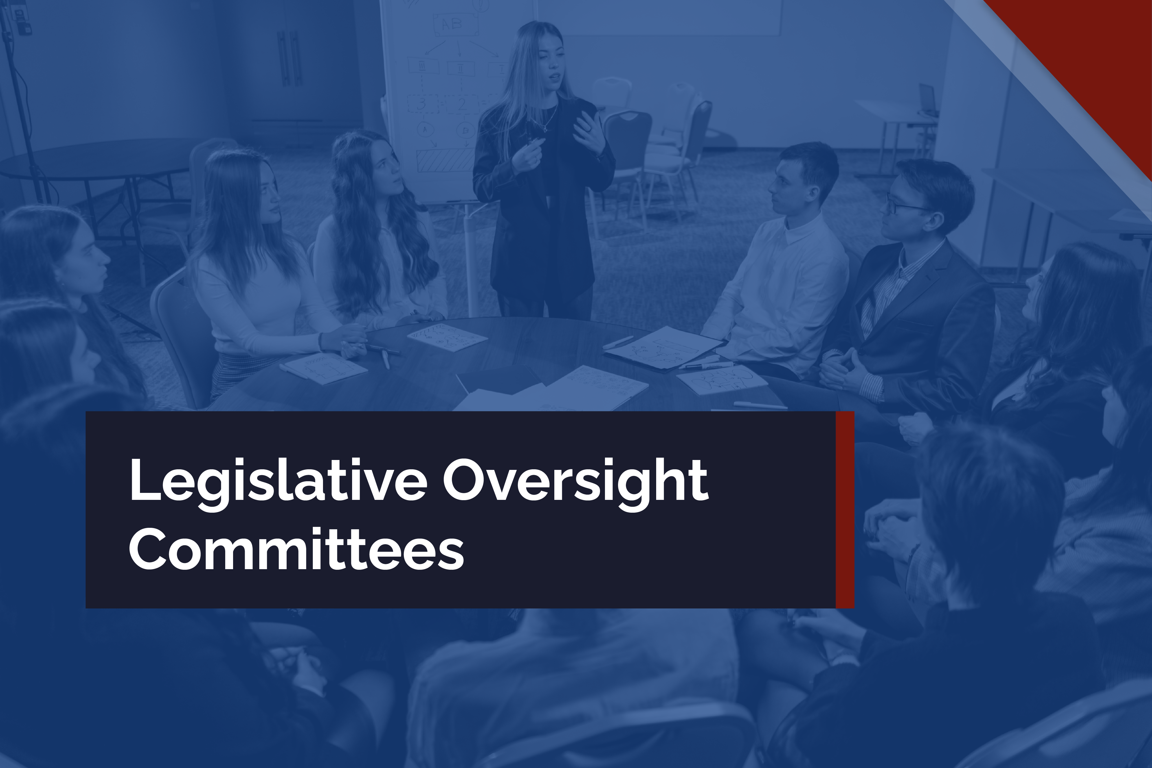 Legislative Oversight Committees HDP105